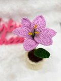 Lily Pot