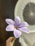 Blooming Lily