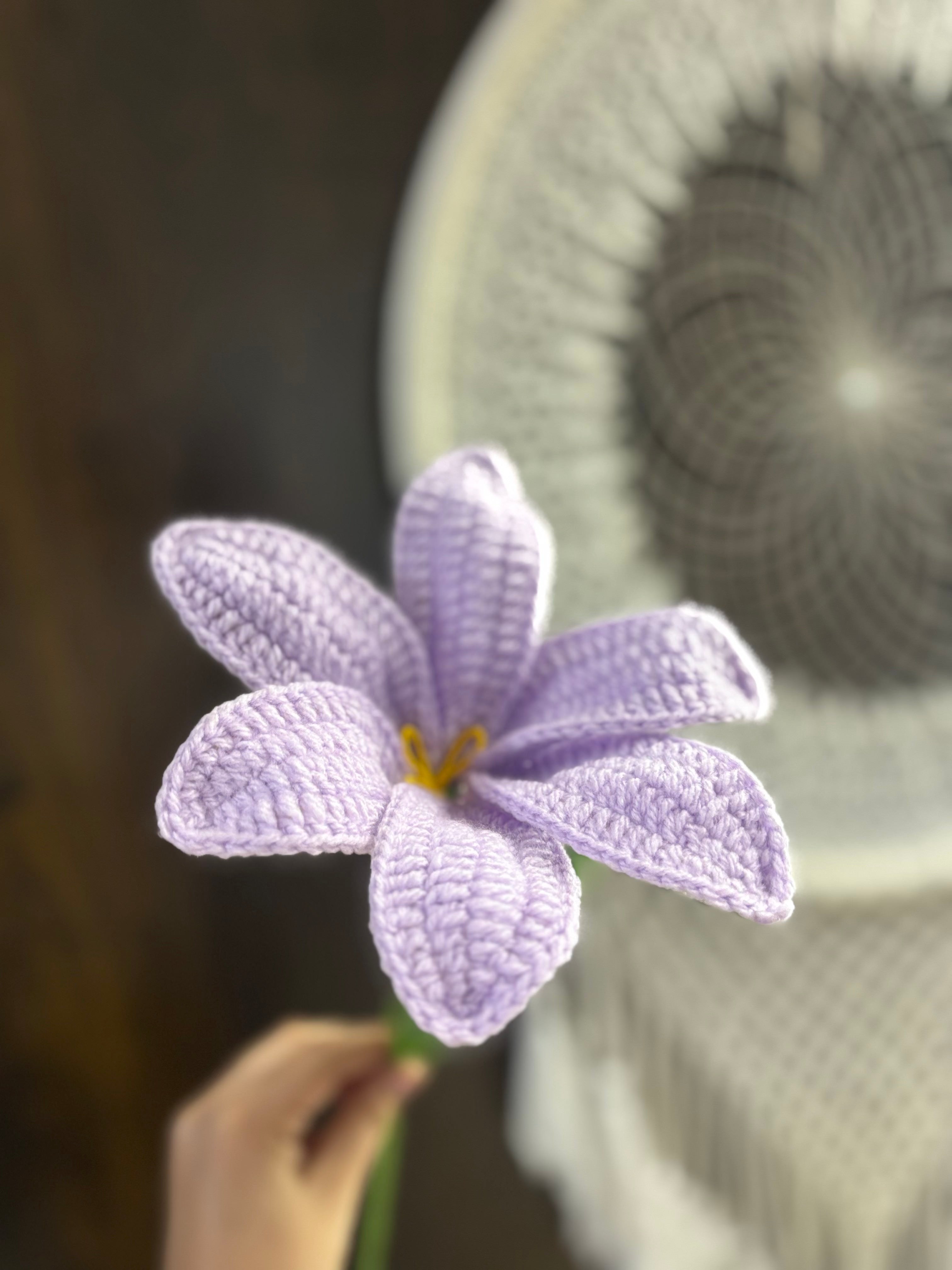 Blooming Lily