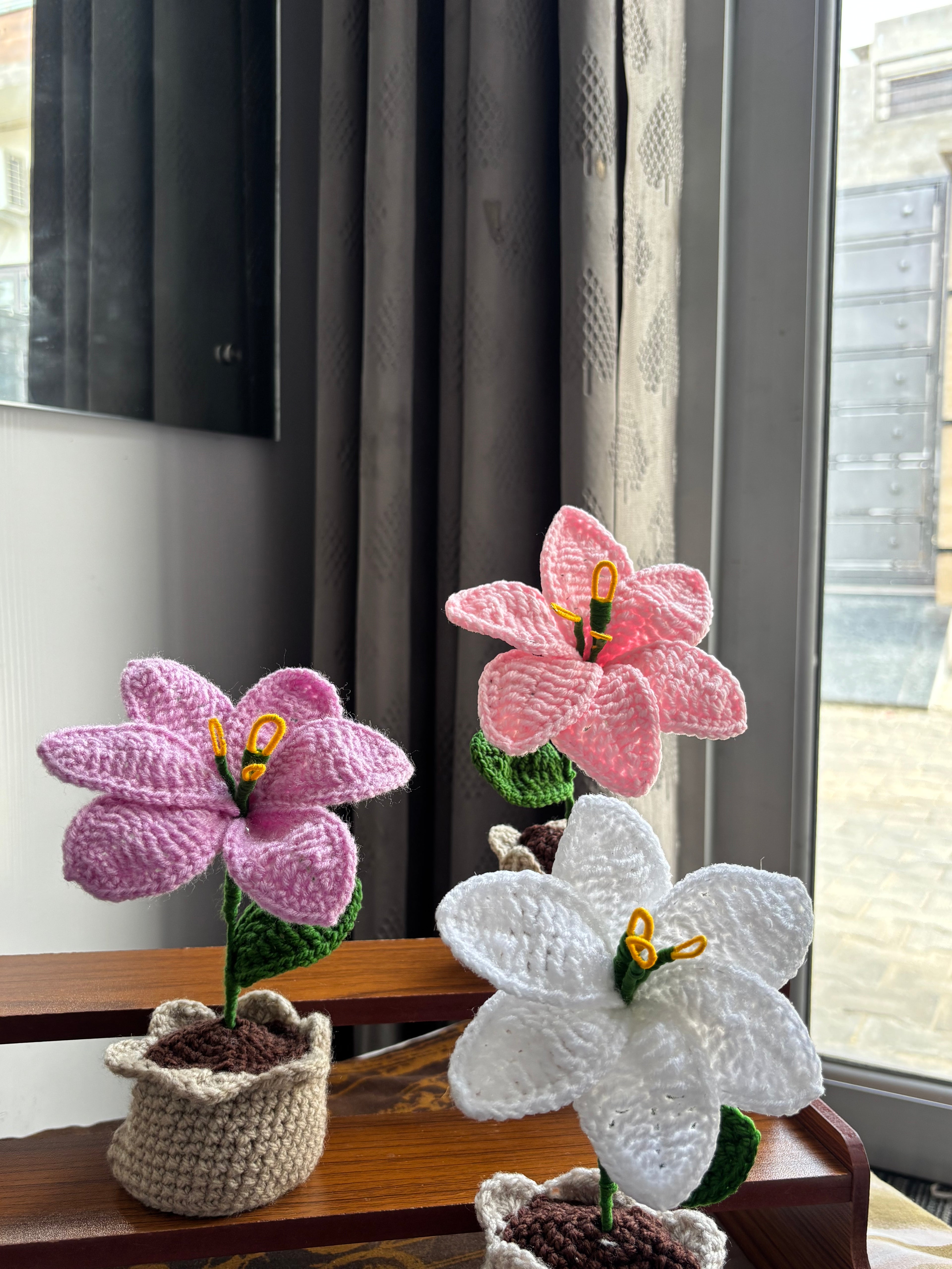 Lily Pot
