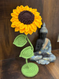 Sunflower Pot