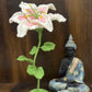 Lily Pot