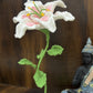 Lily Pot
