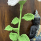 Lily Pot