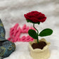 Rose Pot