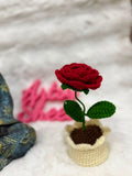 Rose Pot