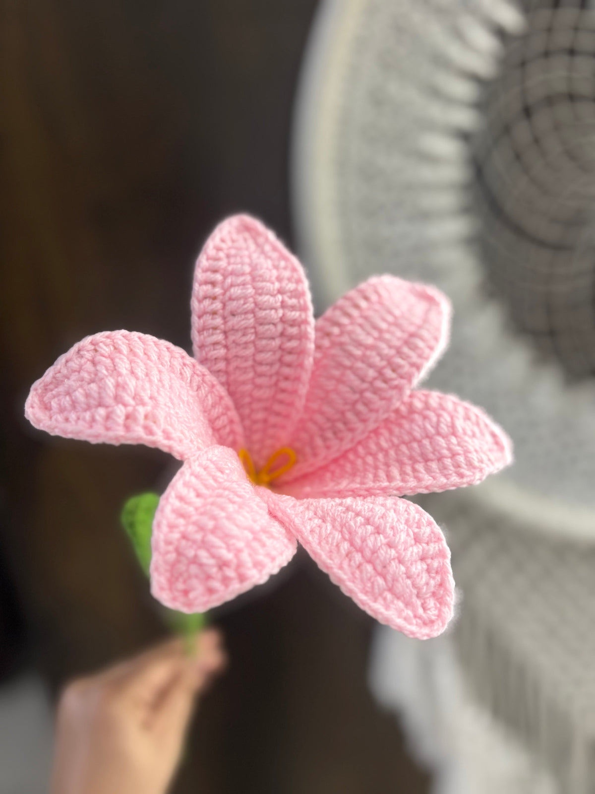 Blooming Lily