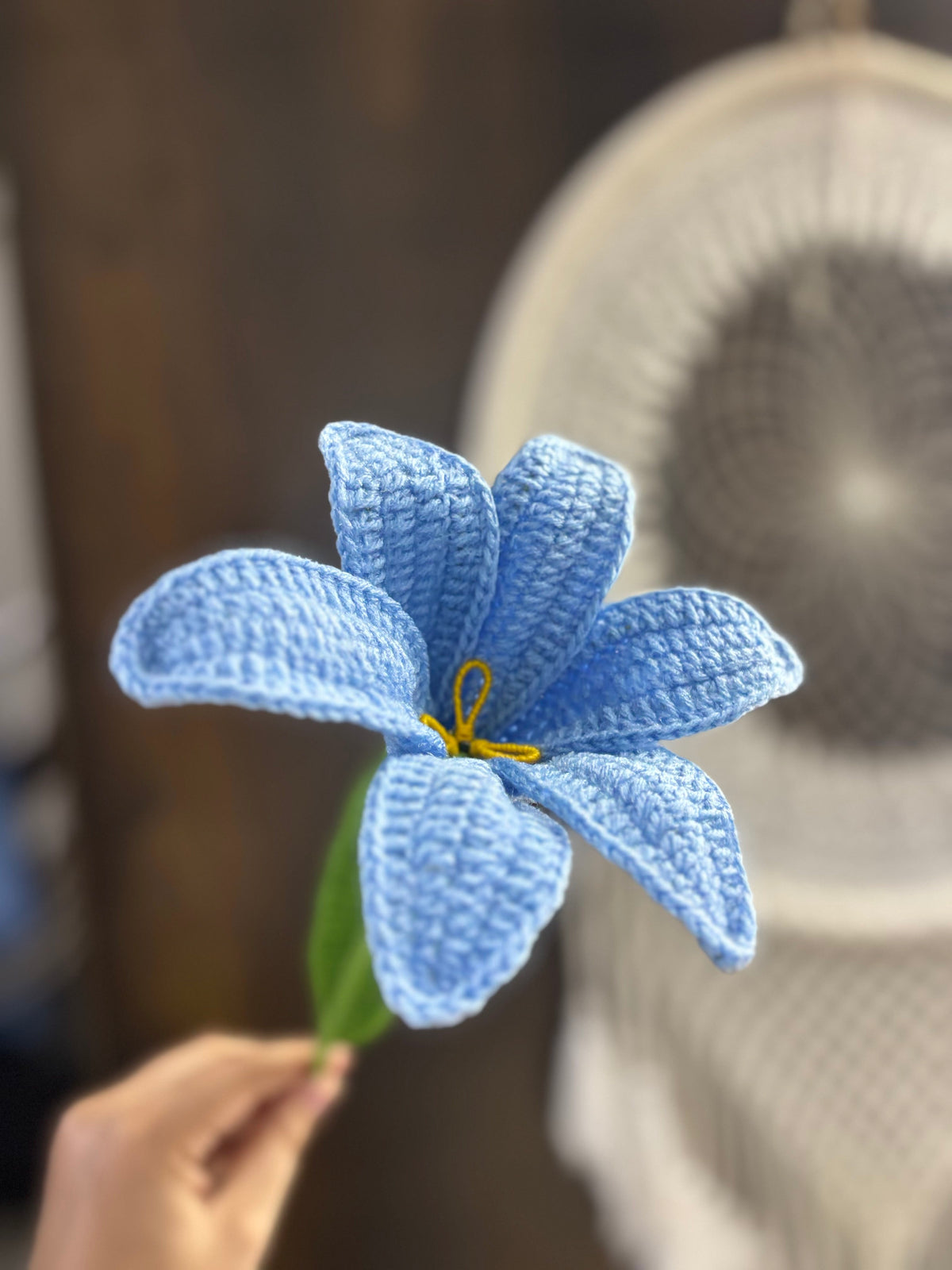 Blooming Lily