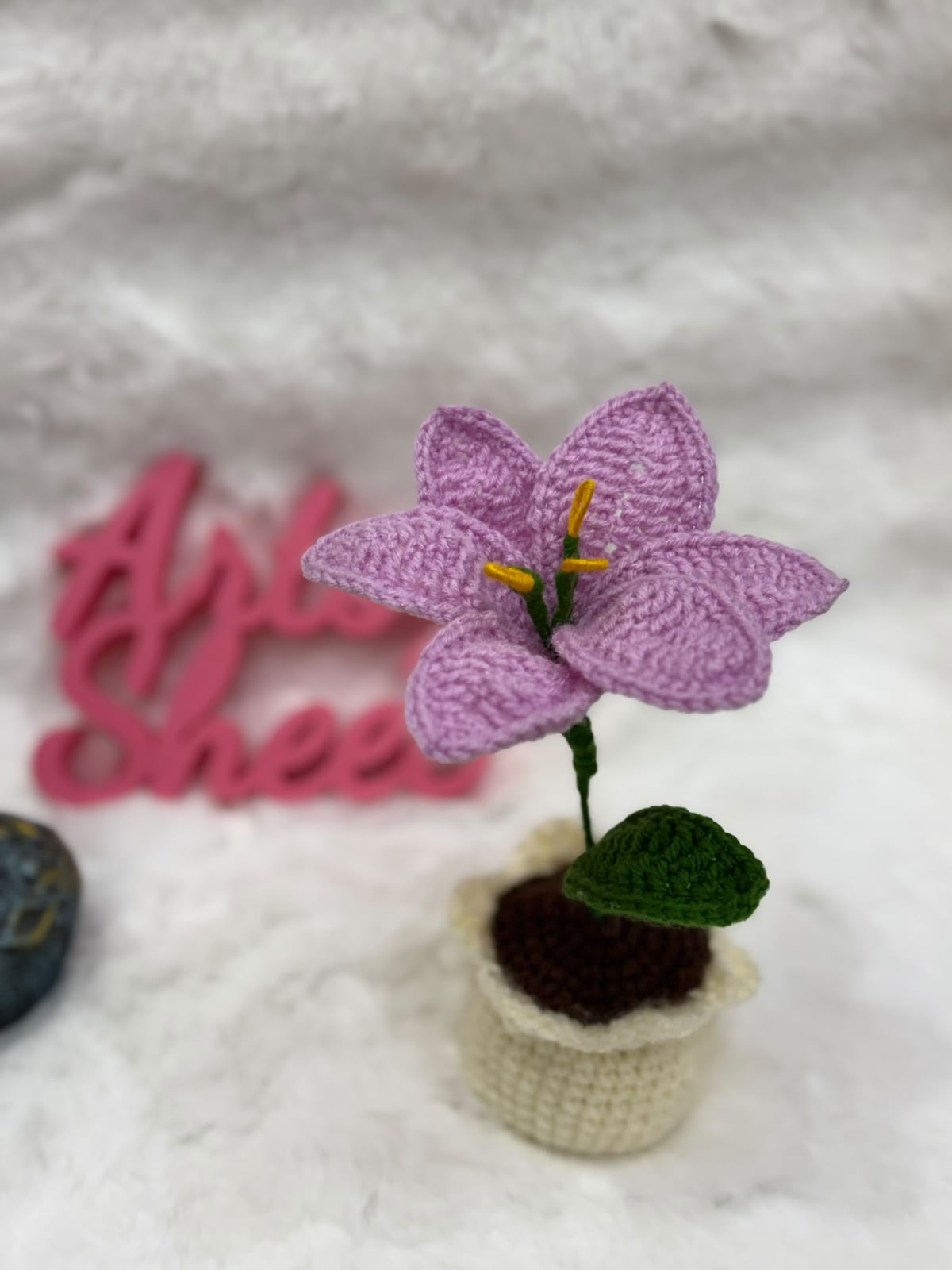 Lily Pot
