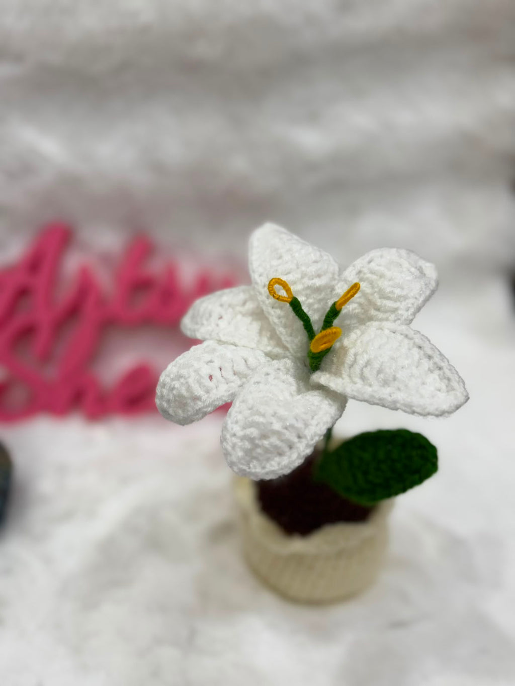 Lily Pot