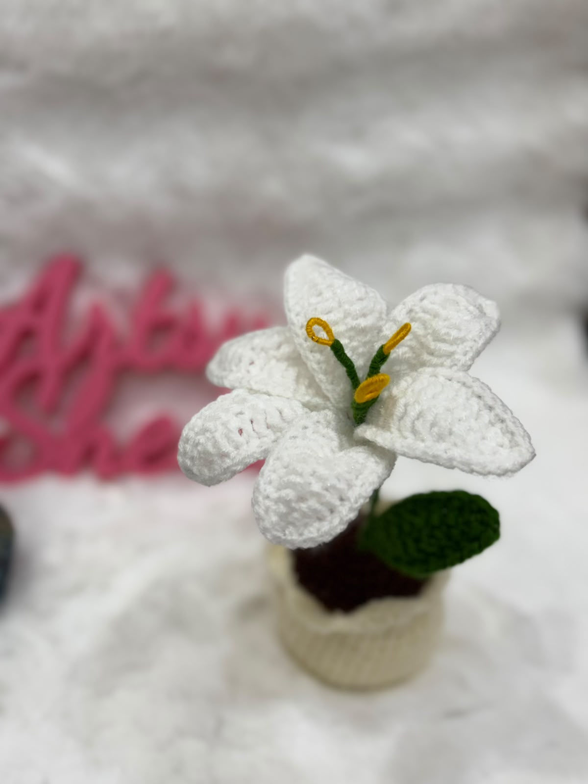 Lily Pot